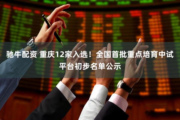 驰牛配资 重庆12家入选！全国首批重点培育中试平台初步名单公示