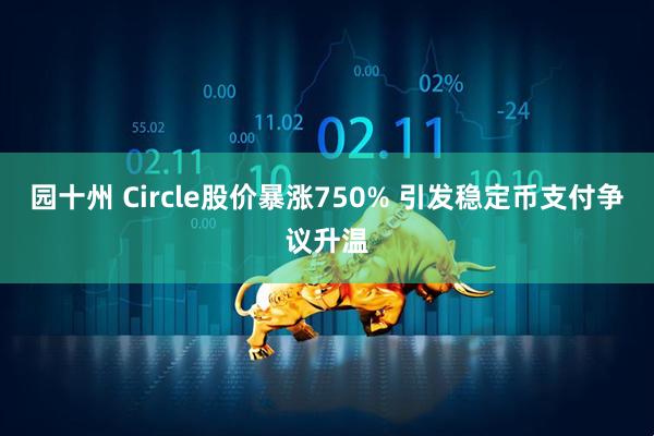 园十州 Circle股价暴涨750% 引发稳定币支付争议升温