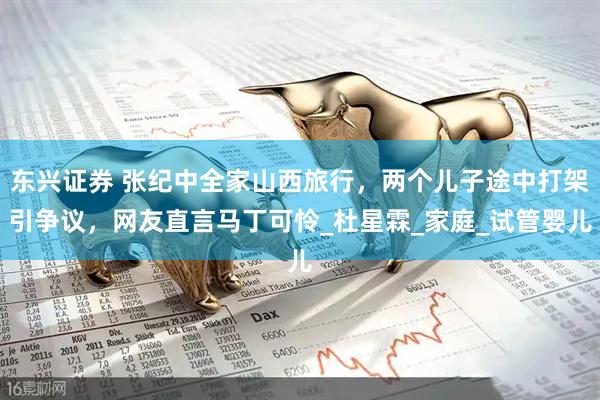 东兴证券 张纪中全家山西旅行，两个儿子途中打架引争议，网友直言马丁可怜_杜星霖_家庭_试管婴儿
