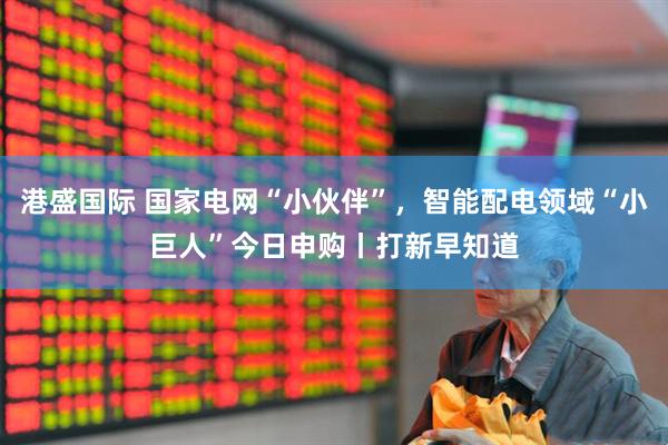 港盛国际 国家电网“小伙伴”，智能配电领域“小巨人”今日申购丨打新早知道