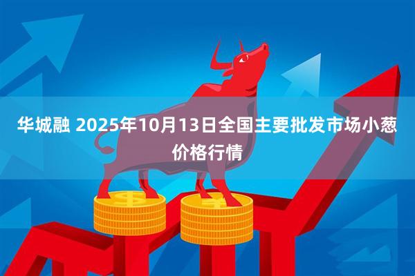华城融 2025年10月13日全国主要批发市场小葱价格行情