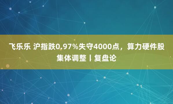 飞乐乐 沪指跌0.97%失守4000点，算力硬件股集体调整丨复盘论